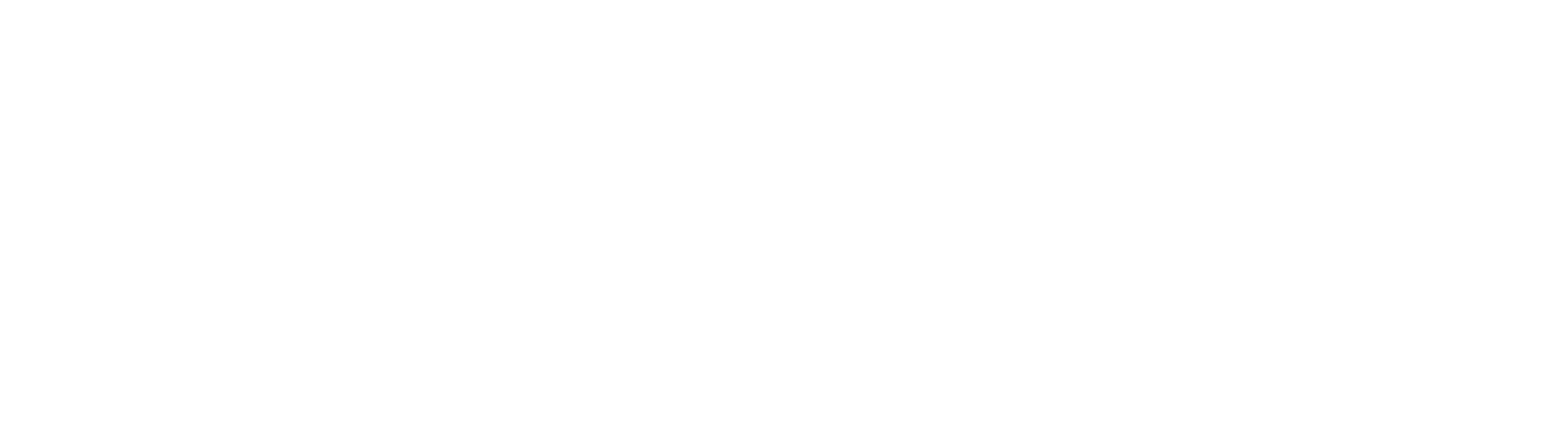 Logo Hotel Majagua